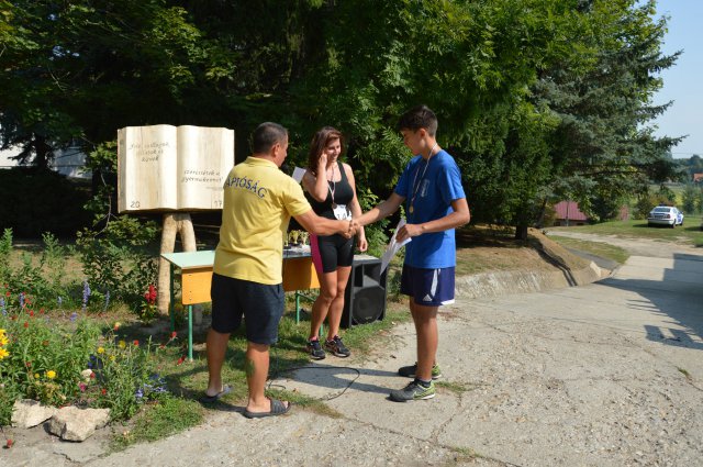 Falunap 2017